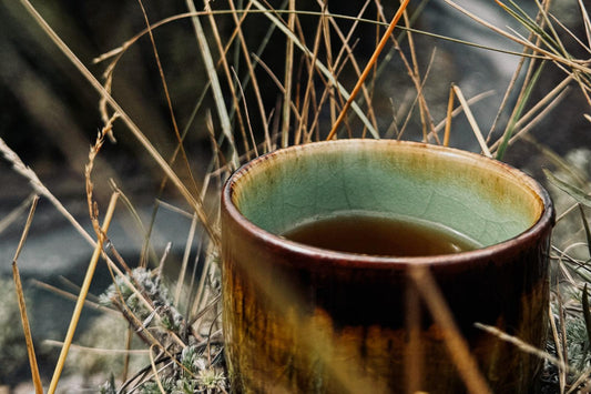 A green and brown glazed cup of herbal tea resting among dry autumn grasses outdoors.