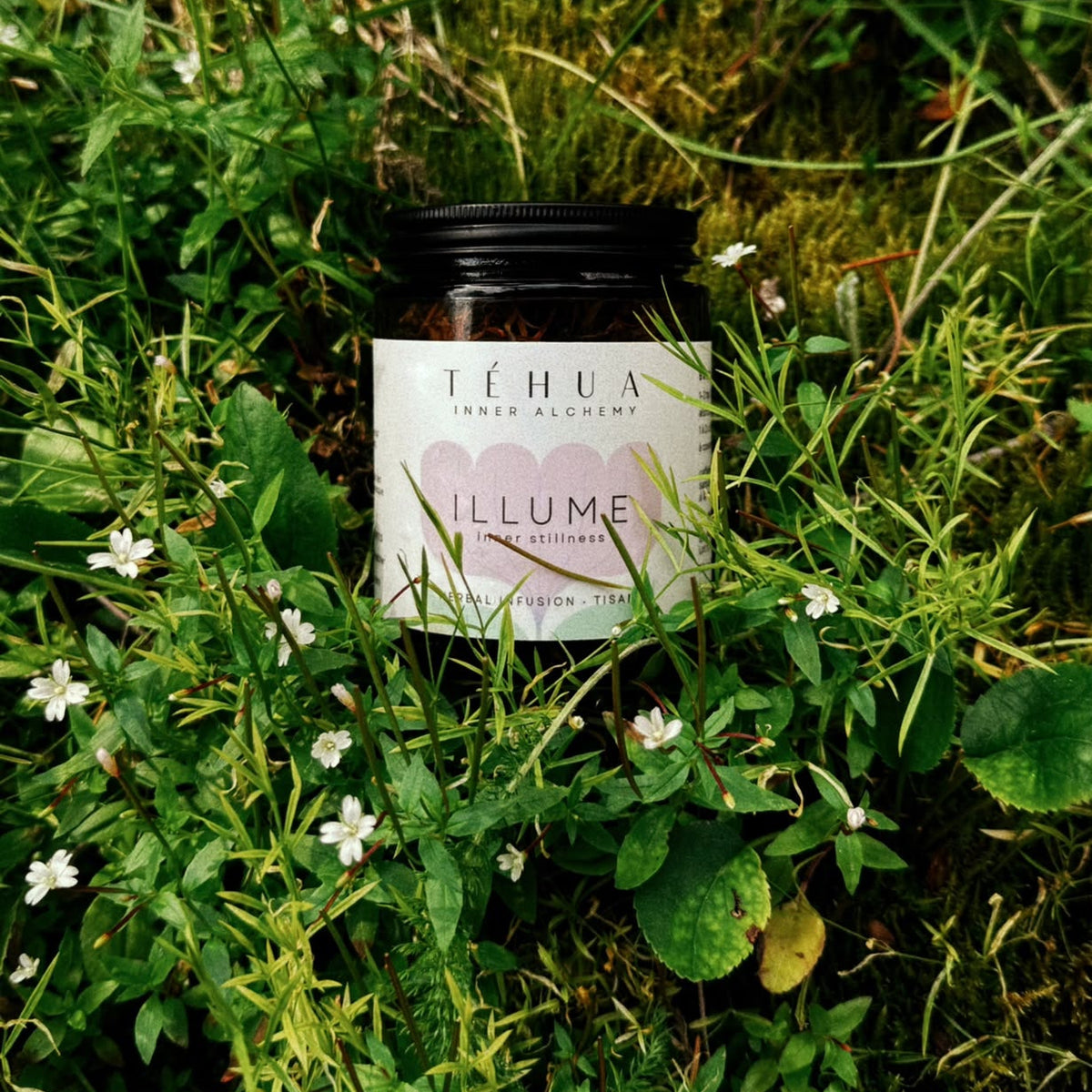 TÉHUA ILLUME herbal tea jar nestled in green grass with small white wildflowers.